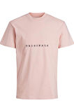Jack & Jones Erkek İşlemeli Baskı Tshirt -  12176780