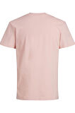 Jack & Jones Erkek İşlemeli Baskı Tshirt -  12176780