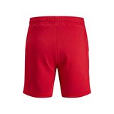 Jack & Jones Erkek Şort 12186787