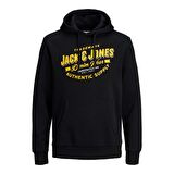 Jack & Jones Erkek Kapşonlu Sweatshirt 12189736