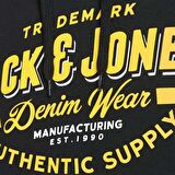 Jack & Jones Erkek Kapşonlu Sweatshirt 12189736
