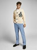 Jack Jones Eddıe Orıgınal Erkek Jean Pantolon 12202489