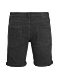JJIRICK JJIORIGINAL SHORTS AM 461 50SPS