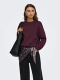 Only Sweat Lıfe Loose Fit kadın Sweat 15243380