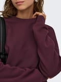 Only Sweat Lıfe Loose Fit kadın Sweat 15243380