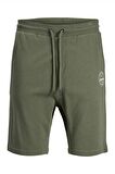 Jack & Jones Erkek Short 12182595