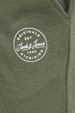 Jack & Jones Erkek Short 12182595