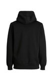 Jack & Jones Erkek Kolej Kapüşonlu Sweatshirt - 12207368