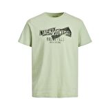 Jack & Jones Erkek T Shirt 12205944