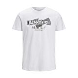 Jack & Jones Erkek T Shirt 12205944