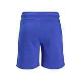 Jack & Jones Erkek Şort 12186787