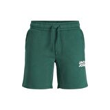 Jack & Jones Erkek Penye Pamuklu Şort 63412186787 Yeşil