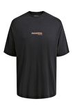 Jack Jones Hollywood Sunfade Erkek Tişört 12210401