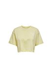 Only Kadın Renkli Crop T-Shirt - 15260935