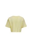 Only Kadın Renkli Crop T-Shirt - 15260935