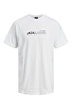 Jack Jones Erkek Tshirt 12215655