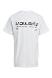 Jack Jones Erkek Tshirt 12215655