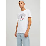 t-shirt MALE KNIT CO100