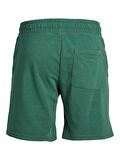 Jack & Jones Erkek Sweat Şort JPSTTREVOR SWEAT SHORTS12228758