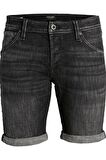 JACK&JONES JJIRICK JJFOX SHORTS GE 245 