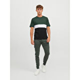 JJEREID BLOCKING SS ERKEK T-SHIRT