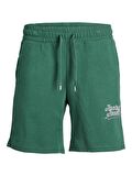 Jack & Jones Erkek Sweat Şort JPSTTREVOR SWEAT SHORTS12228758