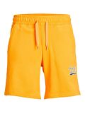 Jack & Jones Erkek Sweat Şort JPSTTREVOR SWEAT SHORTS12228758