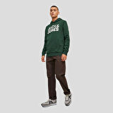 Jack & Jones Erkek Kapşonlu Sweatshirt 12152840