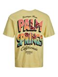 Jack & Jones Jorgreetings Tee Ss Crew Neck Tg Erkek T-Shirt