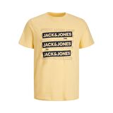 Jack Jones Sıfır Yaka Tişört Spirit Logo