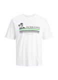 Jack & Jones Bisiklet Yaka Baskılı Beyaz Erkek T-Shirt 12240540_JORCODY SUMMER TEE SS CREW