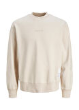 Jack & Jones Kapüşon Yaka Krem Erkek Sweatshırt 12239268_JCOPRJCT SWEAT CREW NECK A