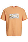 Jack & Jones Bisiklet Yaka Baskılı Turuncu Erkek T-Shirt 12235738_JORPAISLEY FRONT TEE SS CR