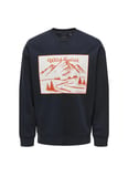Only & Sons O Yaka Lacivert Erkek Sweatshırt 22027043_ONSELI RLX CONTRAST PRINT