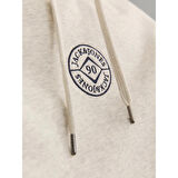 Jack & Jones Cosmo Erkek Bej Sweatshirt (12233979-WM)