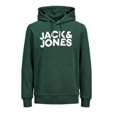 Jack & Jones Erkek Kapşonlu Sweatshirt 12152840