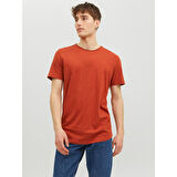 JJEBASHER TEE O-NECK SS ERKEK T-SHIRT