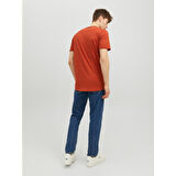 JJEBASHER TEE O-NECK SS ERKEK T-SHIRT