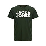 Jack & Jones Erkek T-Shirt 12151955