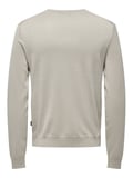 Only & Sons Erkek Bisiklet Yaka Regular Fit Kazak - 22020088
