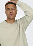 Only & Sons O Yaka Ekru Erkek Sweatshırt ONSDAN LIFE RLX HEAVY SWEAT CREW