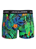 Jack & Jones Jacflower Mix Trunks 3 Pack Erkek Boxer