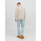 JACK&JONES JORVESTERBRO SWEAT CREW NECK NOOS TAŞ