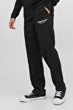 JPSTKANE JJVESTERBRO SWEAT PANTS GMS 