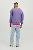 Jack & Jones Erkek Jorsılverlake Bisiklet Yaka Sweatshirt 12242366 Mor