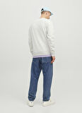 Jack & Jones Bisiklet Yaka Açık Gri Erkek Sweatshırt 12242366_JORSILVERLAKE SWEAT CREW N