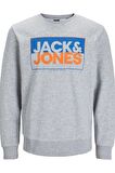 JACK&JONES JCOBOX SWEAT CREW NECK FST GRIMELANJ
