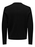 Only & Sons Erkek Bisiklet Yaka Örme Kazak - 22027261