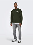 Only & Sons O Yaka Yeşil Erkek Sweatshırt 22027056_ONSPINK FLOYD RLX CREW NEC