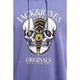 Jack & Jones Jordaemon Sweat Hood Fst Erkek Sweatshirt